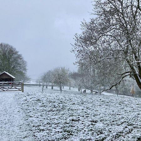 Nachtegael Hoekhuis, Knusse Woning Met Prachtig Vergezicht Kluisbergen Екстериор снимка