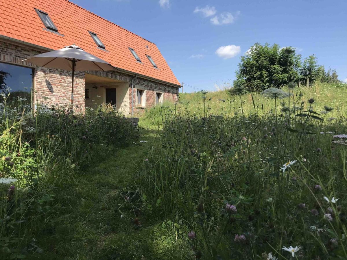Nachtegael Hoekhuis, Knusse Woning Met Prachtig Vergezicht Kluisbergen Екстериор снимка