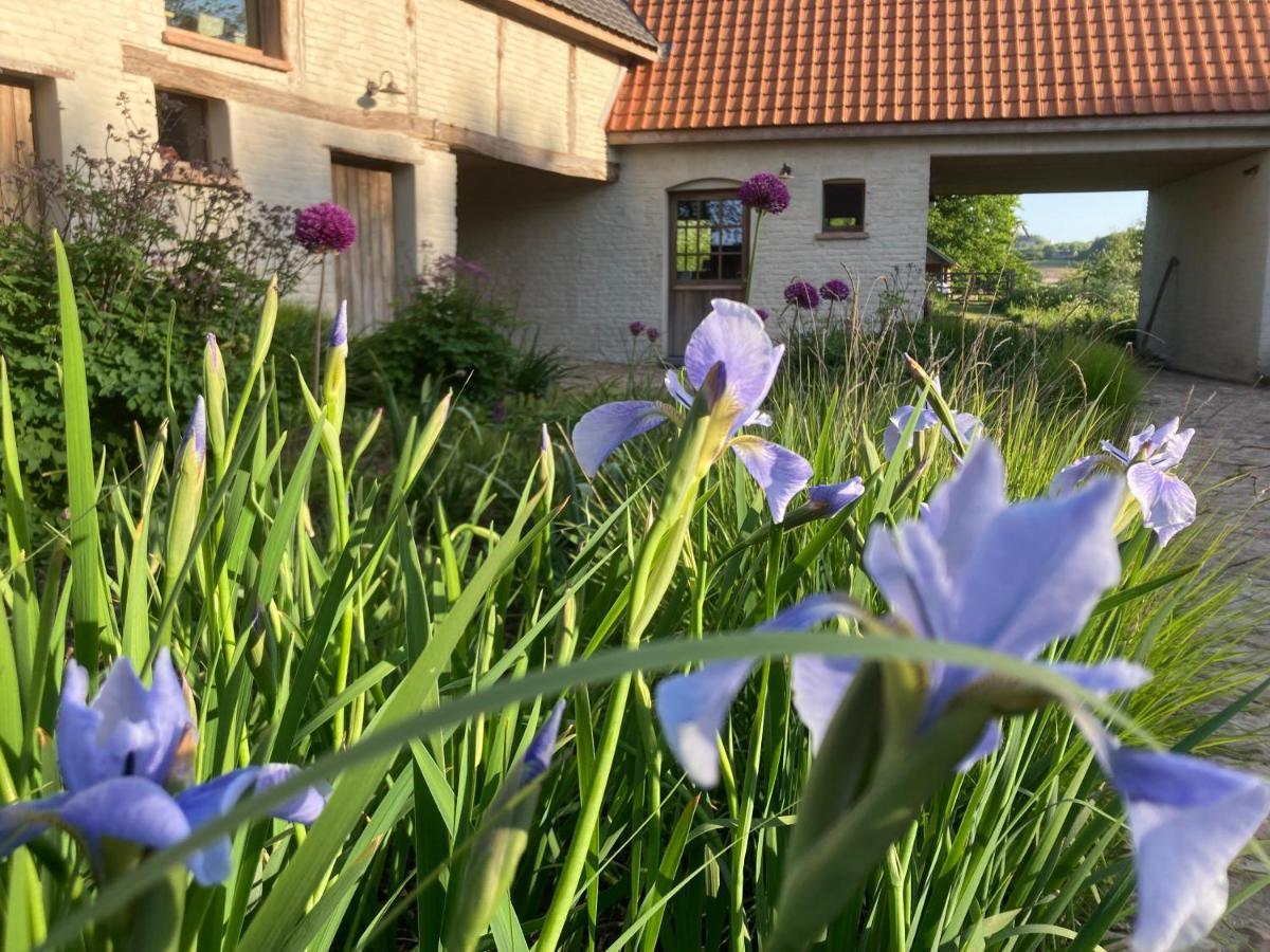 Nachtegael Hoekhuis, Knusse Woning Met Prachtig Vergezicht Kluisbergen Екстериор снимка