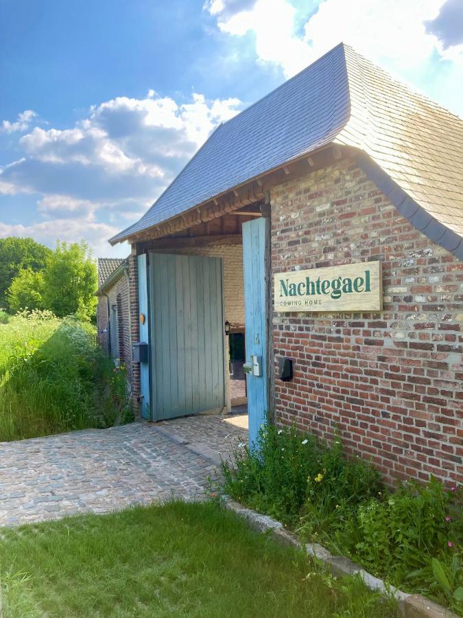 Nachtegael Hoekhuis, Knusse Woning Met Prachtig Vergezicht Kluisbergen Екстериор снимка